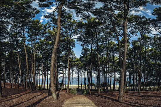 Plage Pereire Arcachon