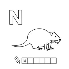 Cartoon nutria coloring pages. Learning game for small children - write a word in English language. Vector alphabet for kids