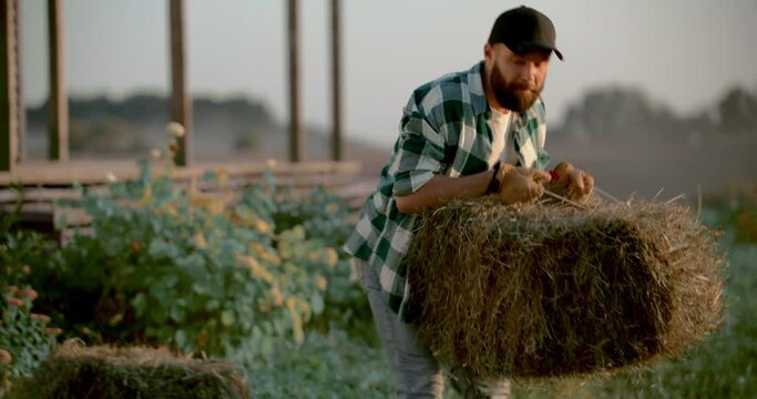 Portrait of Caucasian male farmer loading hay bays into the pickup bed
