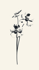 Floral arrangement of Lanceleaf Coreopsis flowers in grunge style. Black silhouette of plant on light background, vintage style. Plant with ink print effect.