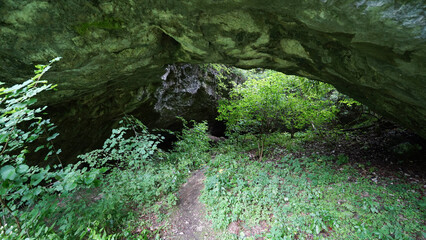 Željnske jame cave in a misty forest in Kočevski Rog, Slovenia.