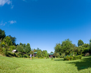 children in the park