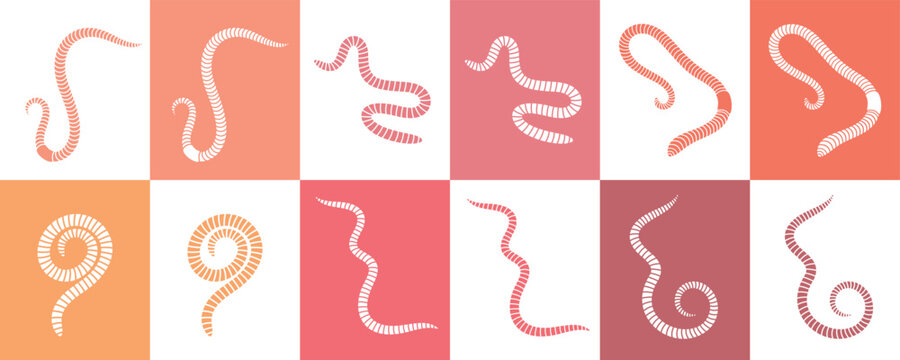 Earthworm logo. Isolated earthworm on white background