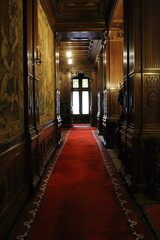 Fototapeta na wymiar A hallway with a red carpet