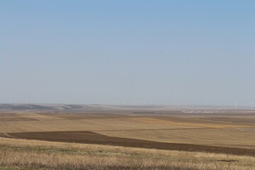 Obraz premium A field with wind turbines in the background