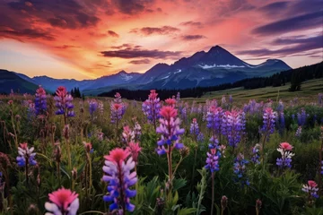 Foto op Canvas Colorful Wildflower Field at Sunrise Above Crested Butte, Colorado with Clouds and Mountain Peaks in the Early Morning Light © AIGen