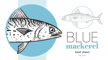 Hand drawn sketch style Blue Mackerel design template. Fish restaurant menu element. Best for seafood market designs. Vector illustration.