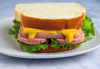 spam sandwich top with  cheese and mustard,