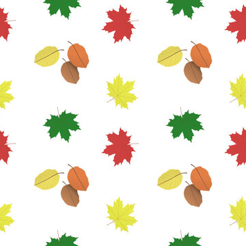 Maple and other fall leaves. Multicolored mottled large autumn leaves. Vector pattern