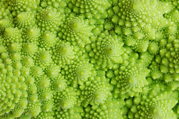 Green romanesco cauliflower close-up - obrazy, fototapety, plakaty