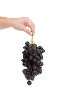 A hand holds a bunch of grapes.