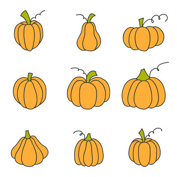 Pumpkin Doodle Collection. Cute Cartoon Pumpkins. Autumn Harvest Design elements. Vector illustration on white background