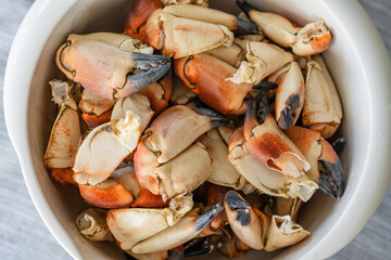 Stone crab claws. Colossal Crab claws served. Classic appetizer or entree, boiled Crab claws,...