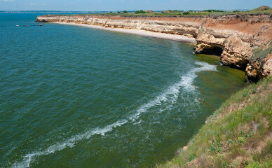 Steep clayey and shell rock shore overgrown with wild steppe vegetation on the island of Berezan,...