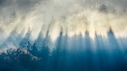 Obraz na płótnie Canvas Autumn landscape, sun rays illuminating the trees in the fog. The Sulov Rocks, national nature reserve in northwest of Slovakia, Europe.