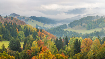 Autumn foggy landscape of hills with colorful trees. The Orava region of Slovakia, Europe.