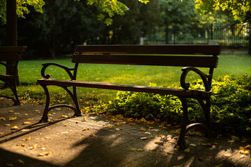 Drewniana ławka w parku w Poznaniu - obrazy, fototapety, plakaty