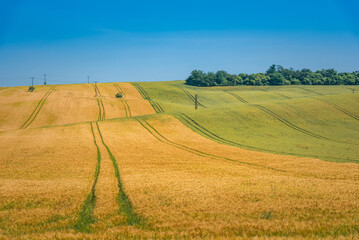 Tractor tracks cutting through a field. Tractor wheel track running through field landscape, The Czech republic. 