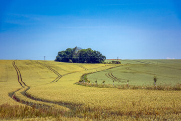 Tractor tracks cutting through a field. Tractor wheel track running through field landscape, The Czech republic. 