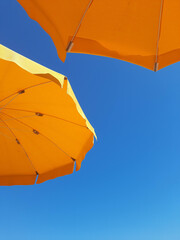 Yellow beach umbrellas isolated on blue sky background.