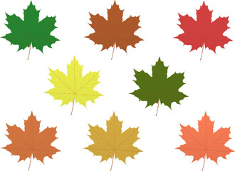 Naklejka na ściany i meble Multicolored autumn maple leaves, fall. Vector drawing, elements. Transparent background. Vector color drawing