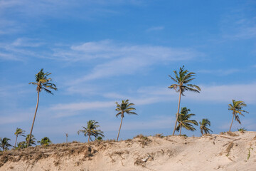 Fototapeta premium Goa in Summer