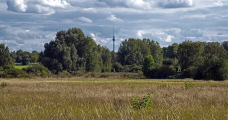 Blick auf den Berliner Fernsehturm aus nördlicher Richtung (Blankenburger Chaussee) - 651688998