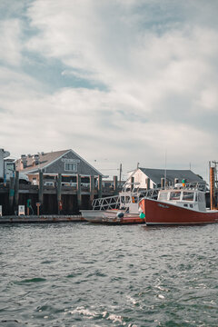 boats in the harbor