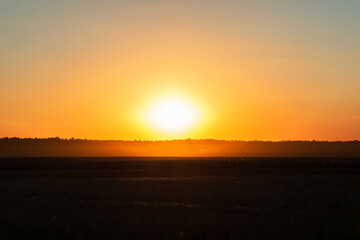Fototapeta premium Sunset above forest and agricultural field in autumn time, yellow orange color sunset, low key photo
