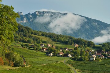 Landschaft bei Jongieux in Savoie in Frankreich - obrazy, fototapety, plakaty
