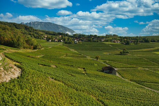 Landschaft bei Jongieux in Savoie in Frankreich