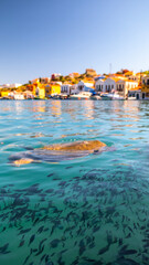 Fototapete bei efototapeten.de bestellen   