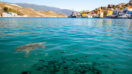 Fototapete bei efototapeten.de bestellen   