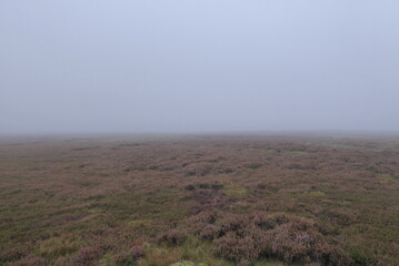 North York Moors Nationalpark im Nebel