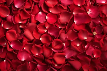 Fototapeten Red rose petals texture background © Jasper W