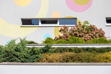 
colorful flower field on painted white concrete step wall