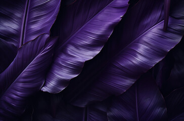 Tropical leaves purple