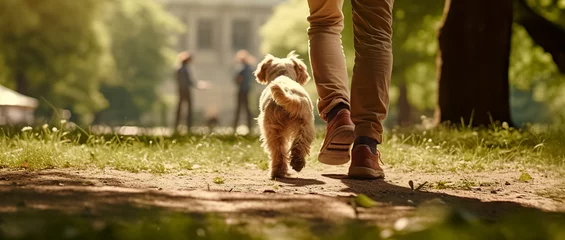  A dog with its owner on a walk in nature. Back view of a man with a dog walking in a park. © Helen-HD