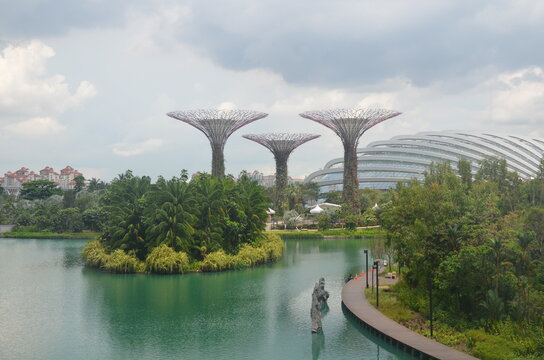 Measuring between 25 and 50 metres tall, Gardens by the Bay's Supertrees are designed with large canopies that provide shade in the day in Singapore.