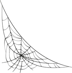Spider web logo icon vector