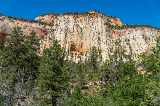 landscape, travel, zion, canyon, utah, hike, hiking, sky, park, national, view, mountain, rock, scenic, wild, valley, outdoor, peak, nature, natural, trail, sandstone, tourism, cliff, usa, river, suns