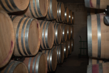 barrels of wine