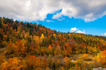 Bright sunny autumn landscape against the blue sky with white clouds