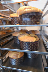 panettone pasticceria 