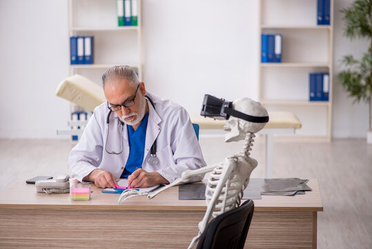 Old male doctor examining skeleton in the clinic