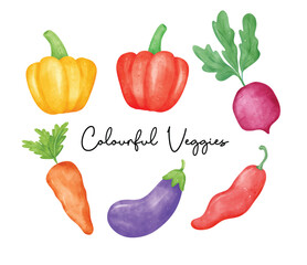 Colorful Watercolor fresh Vegetables collection, Pepper, Chili, Eggplant, Beetroot, Carrot