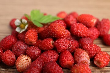 Pile of wild strawberries, flower and leaves on wooden table, closeup