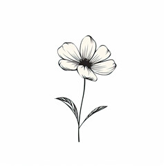 Minimalist flower line art on white background, AI Generated