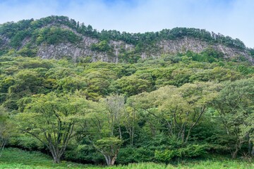 Fototapeta na wymiar 青空バックに見る屏風岩公苑の情景