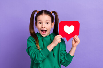 Photo portrait of crazy amazed little schoolgirl open mouth shocked emotion hold like insta threads isolated on violet color background